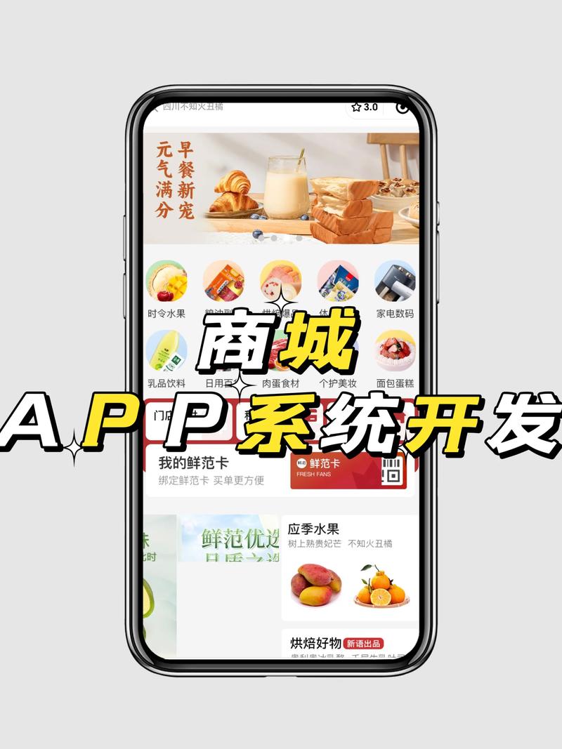 商城系统定制：引领电子商务新潮流